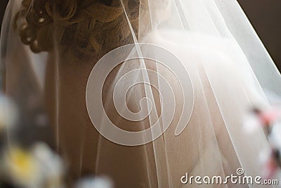 Wedding bridal veil Stock Photo