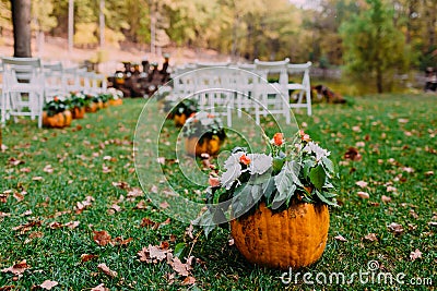 Wedding ceremony with autumn pumpkins. Stock Photo