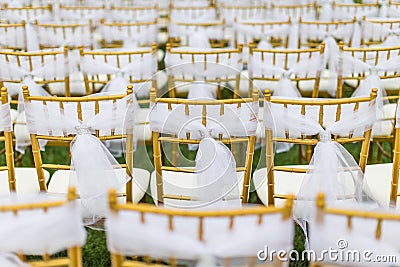 Wedding chairs Stock Photo