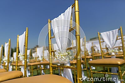 Wedding chairs Stock Photo