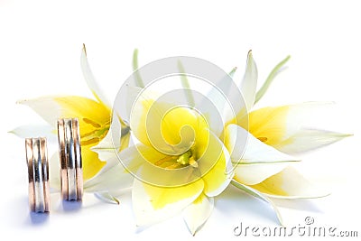 Wedding concept Stock Photo