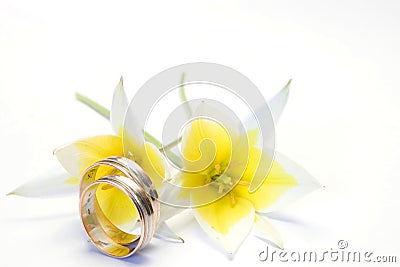 Wedding concept Stock Photo