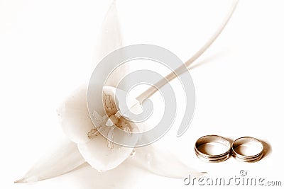 Wedding concept Stock Photo