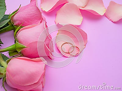 Wedding concept. Beautiful pink rose on pink background with two wedding rings Stock Photo