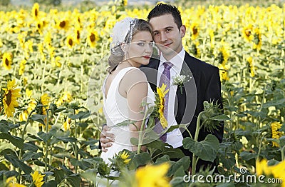 Wedding couple Stock Photo