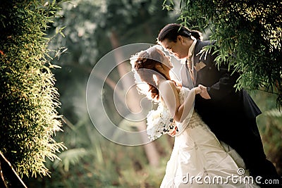 Wedding couple enjoying romantic moments outsides on a summer. Happy bride and groom on their wedding. Stock Photo