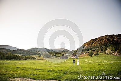 Wedding couple on a green field Stock Photo