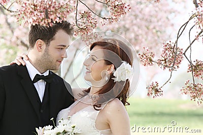 Wedding Couple Under Cherry Blossoms Stock Photo