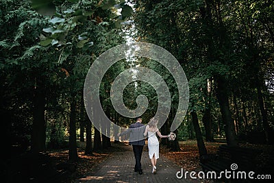 Wedding couple walks in forest Stock Photo