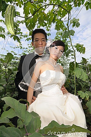 Wedding couples Stock Photo