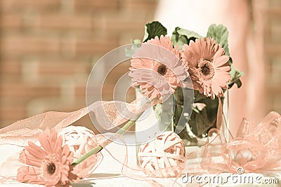 Wedding Decor of ribbons and gerbera flowers the color of the year 2024 peach fuzz, close-up.Pantone 2024 Stock Photo