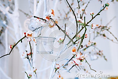 Wedding decor, white and green tree branch with blossoming buds, flowering tree branches with white flowers and a garland of candl Stock Photo