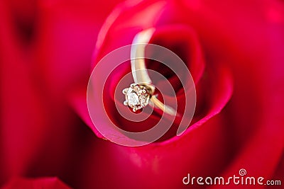 Wedding diamond Ring in Rose, Will you marry me? Stock Photo