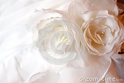 Wedding dress detail Stock Photo