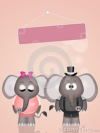 Wedding of elephants Stock Photo