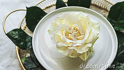 Wedding flower arrangement, white rose on white plate on Golden tray decorated with leaves Stock Photo