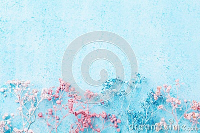 Wedding flower border on blue pastel background top view. Beautiful floral pattern. Flat lay style. Woman or mother day greeting c Stock Photo