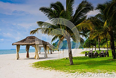 Wedding hut and Palm tree on the beach Stock Photo