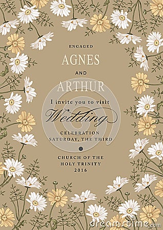 Wedding invitation. Beautiful flowers Chamomile. Frame, label. Vintage greeting card. Drawing engraving. Vector Illustration Vector Illustration