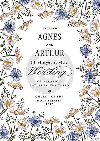 Wedding invitation. Beautiful flowers Chamomile. Frame, label. Vintage greeting card. Drawing engraving. Vector Illustration Vector Illustration