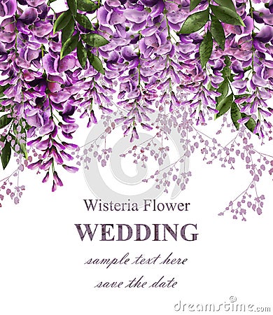 Wedding invitation card with wisteria flowers Vector. Beautiful flower decor. Gorgeous nature beauty designs Vector Illustration