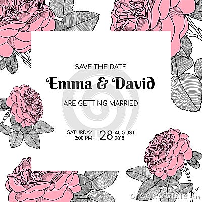 Wedding vector floral design invitation. Decorative modern layout with pink roses Stock Photo