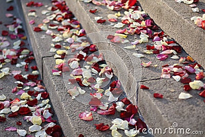 Wedding petals Stock Photo