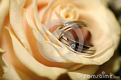 Wedding rings Stock Photo