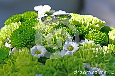 Wedding rings Stock Photo