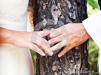 Wedding rings on hands newlyweds Stock Photo