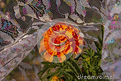 wedding rings lie on a grid. Wedding rings lie on marigold flowers. preparation for the wedding ceremony Stock Photo