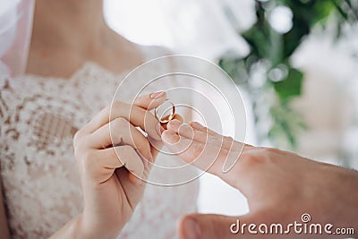 Wedding rings lie on a toy carousel with little horses Stock Photo