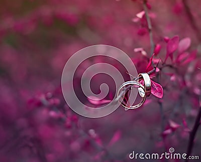 Wedding rings. NOTE: this photo has a very shallow depth of field Stock Photo