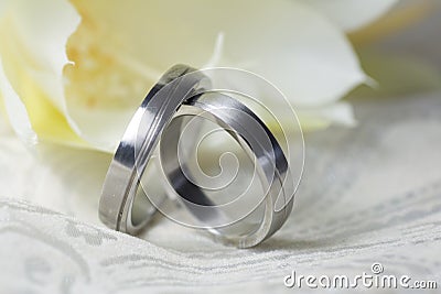 Wedding rings of platinum in close up Stock Photo