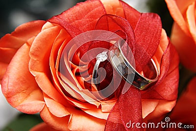 Wedding rings on a red rose Stock Photo