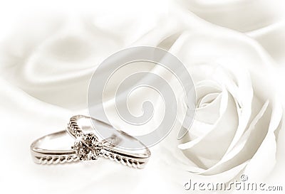 Wedding rings and white rose Stock Photo