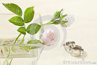 Wedding rose Stock Photo