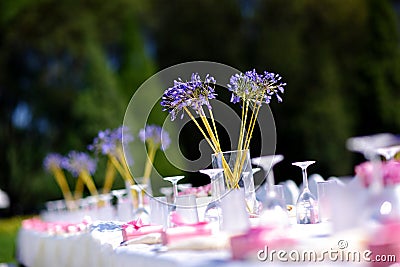 Wedding table Stock Photo