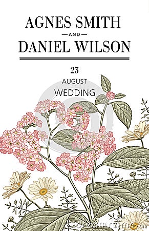 Wedding thanks invitation. Beautiful realistic flowers Chamomile heliotrope card. Frame, label. Vector victorian Illustration. Vector Illustration