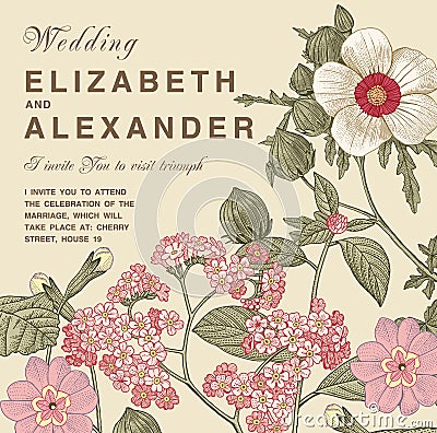 Wedding thanks invitation. Beautiful realistic flowers heliotrope card. Frame, label. Vector engraving victorian Illustration. Vector Illustration