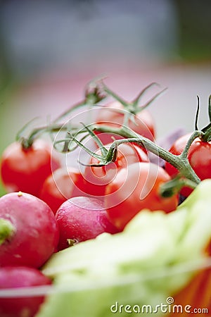 Wedding vegetable buffet Stock Photo