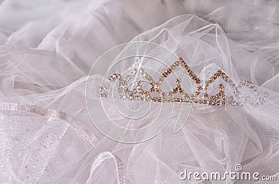 Wedding vintage crown of bride and veil. wedding concept Stock Photo