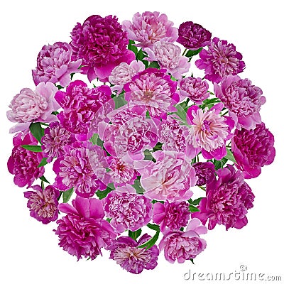 Wedding wreath of pink peonies Stock Photo