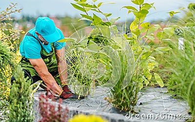 Weed Control Fabric Installed by Professional Landscaper Stock Photo