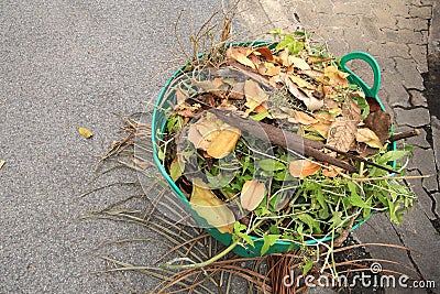 Weed control in the garden Stock Photo