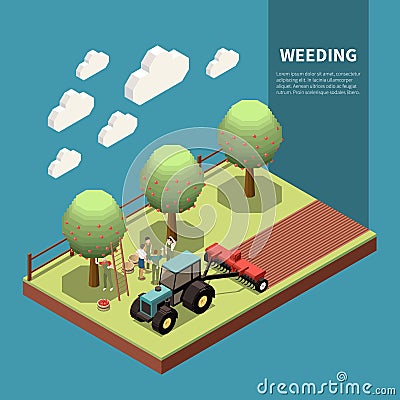 Weeding Isometric Composition Vector Illustration