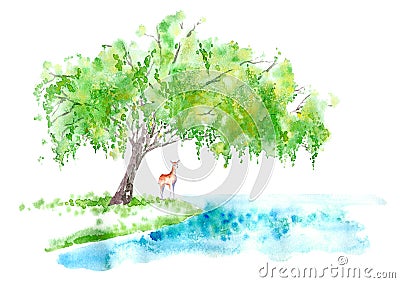 Weeping willow on the lake. Deer. Cartoon Illustration