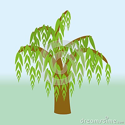 Weeping willow Vector Illustration