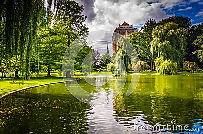 Weeping willow trees and a pond in the Boston Public Garden. Stock Photo