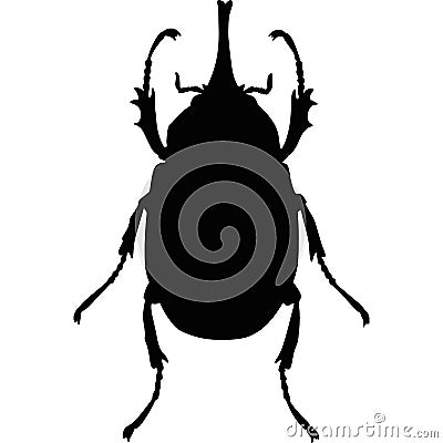 The weevil beetle. A harmful insect. Spoils the grain harvest Vector Illustration